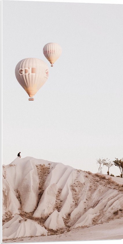 WallClassics - PVC Schuimplaat- Luchtballonnen boven Bergen - 50x100 cm Foto op PVC Schuimplaat