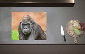 Inductieplaat Beschermer - Westelijke Laagland Gorilla van Dichtbij - 60x52 cm - 2 mm Dik - Inductie Beschermer van Vinyl