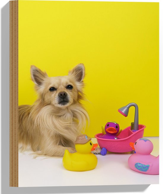 WallClassics - Hout - Chihuahua met Roze Badkuip en Eendjes tegen Gele Achtergrond - 30x40 cm - 9 mm dik - Foto op Hout (Met Ophangsysteem)