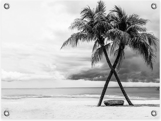Tuinposter Palm Tree Beach