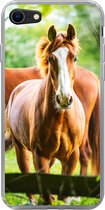 Geschikt voor iPhone SE 2020 hoesje - Paarden - Licht - Weide - Siliconen Telefoonhoesje