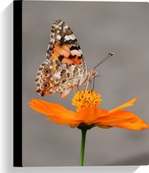 WallClassics - Canvas - Oranje Vlinder op Oranje Bloem - 30x40 cm Foto op Canvas Schilderij (Wanddecoratie op Canvas)