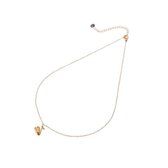 Go Dutch label ketting Zwaan N9828-2 Goud