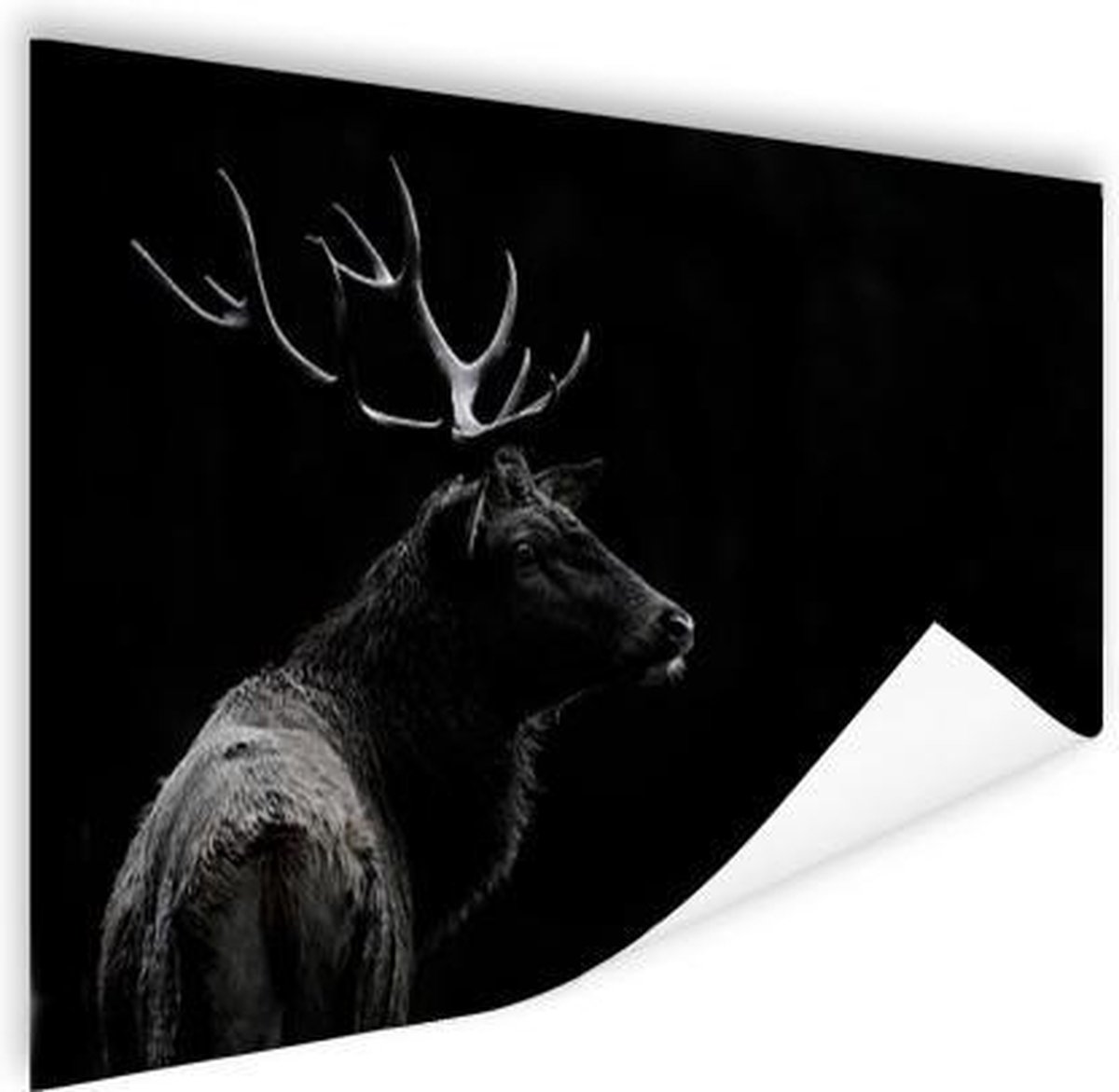 Poster Hert - Zwart - Wit - Gewei - 60x40 cm