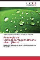 Fenología de Chamaedorea pinnatifrons (Jacq.)Oerst.