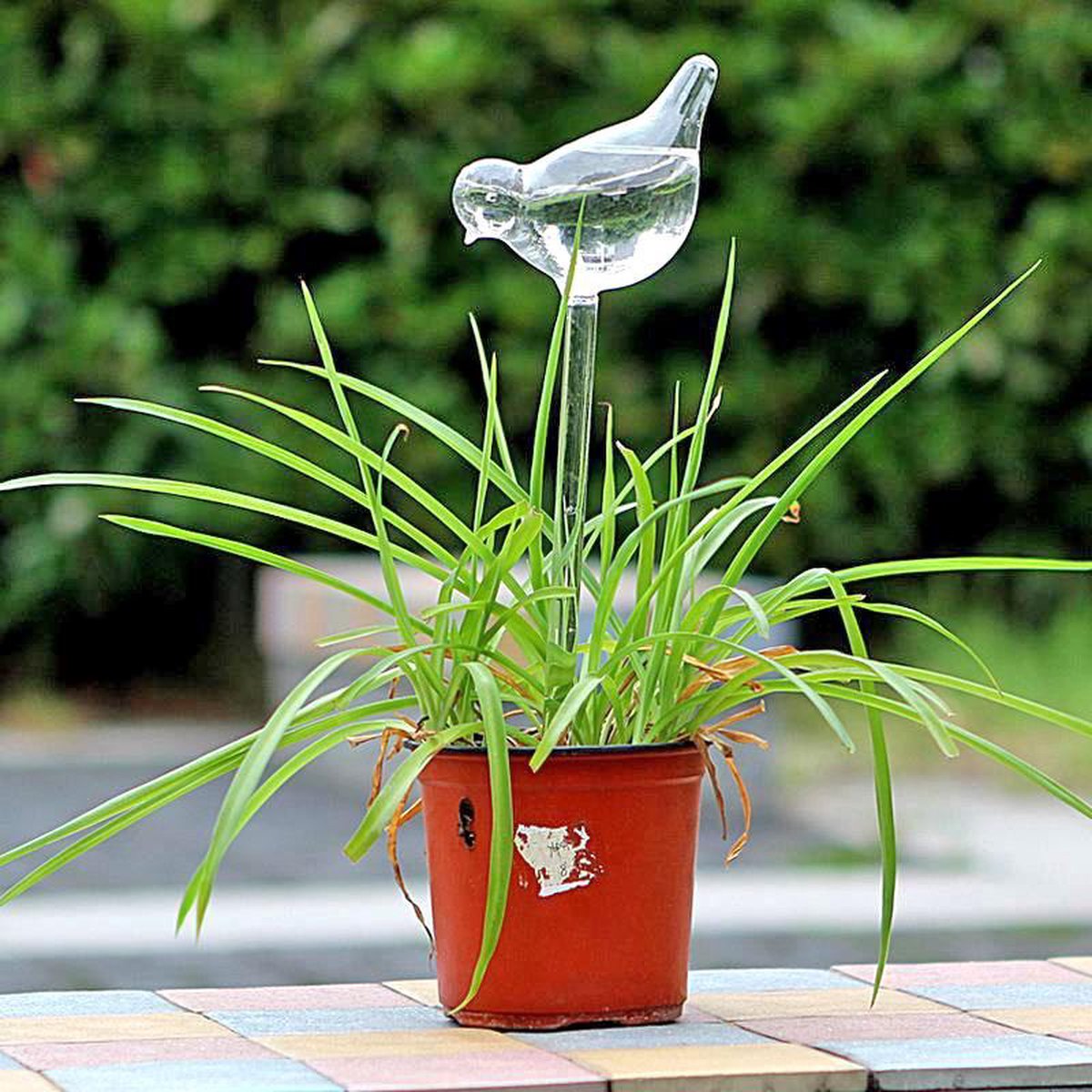 planten watergever glazen vogel (set van 2) | bol.com