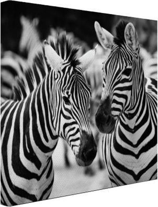 Nieuw bol.com | Zebra zwart wit Canvas 80x60 cm - Foto print op Canvas XW-82