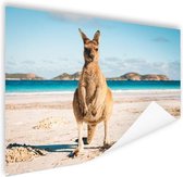 Poster Kangoeroe - Strand - Australië - 180x120 cm XXL