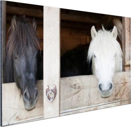 Paarden dans l'étable Aluminium 60x40 cm - Tirage photo sur aluminium (décoration murale métal)
