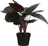 Calathea Roseopicta kunstplant groen in keramieken pot H60 x D40 cm - Kunstplanten/nepplanten met bloemen