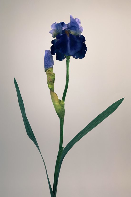 Zijden kunstbloem Iris | Blauw/Paars | Lengte 71 centimeter