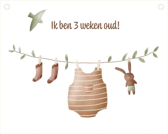 Mijn grote mijlpalenboek