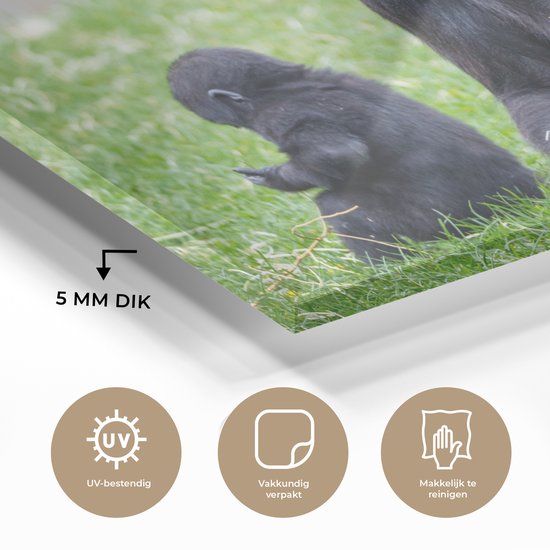Un grand Gorilla avec son bébé en plexiglas 120x80 cm - Tirage photo sur Glas (décoration murale en plexiglas)