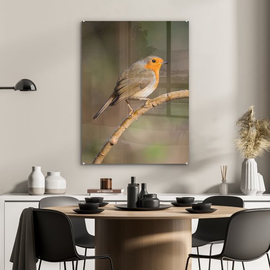 MuchoWow® Glasschilderij 60x80 cm - Schilderij acrylglas - Roodborstje - Vogel - Natuur - Foto op glas - Schilderijen