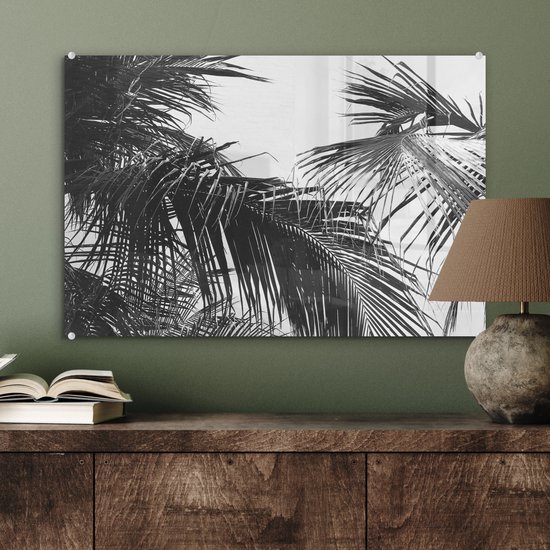 MuchoWow® Peinture sur verre 60x40 cm - Peinture sur verre acrylique - Feuilles de palmier - Nature - Vintage - Palmier - Photo sur verre - Peintures