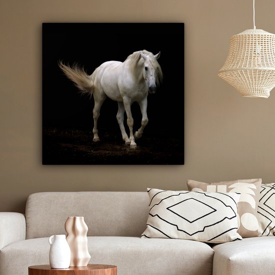 Cheval Wit devant une toile fond noir 2cm 90x90 cm - impression photo sur toile peinture Décoration murale salon / chambre à coucher) / Animaux sauvages Peintures Toile