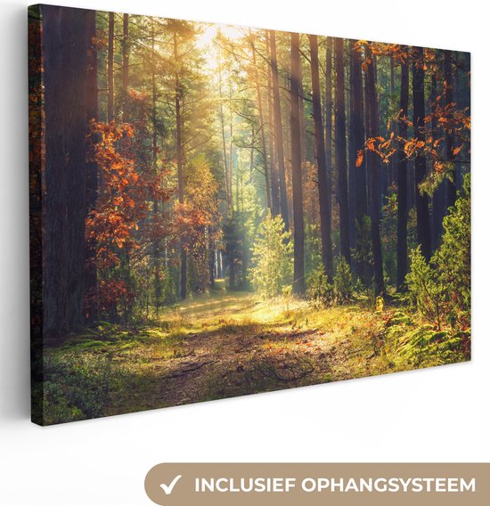 Canvas Schilderij Herfst Bos - Bomen - Lichtinval - Natuur - Schilderijen op Canvas - 140x90 cm - Muurdecoratie