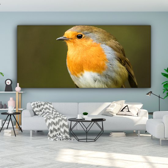 Tableau sur Toile Robin - Branche - Printemps - 160x80 cm - Décoration murale