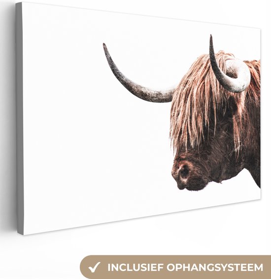 Schotse hooglander zwart wit | Gratis verzonden (Kies je materiaal: Aluminium dibond,Welk formaat wil je?: 60 x 40,Wil je een ophangsysteem?: Nee