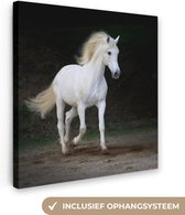 Canvas Schilderij Paarden - Zand - Donker - 50x50 cm - Wanddecoratie