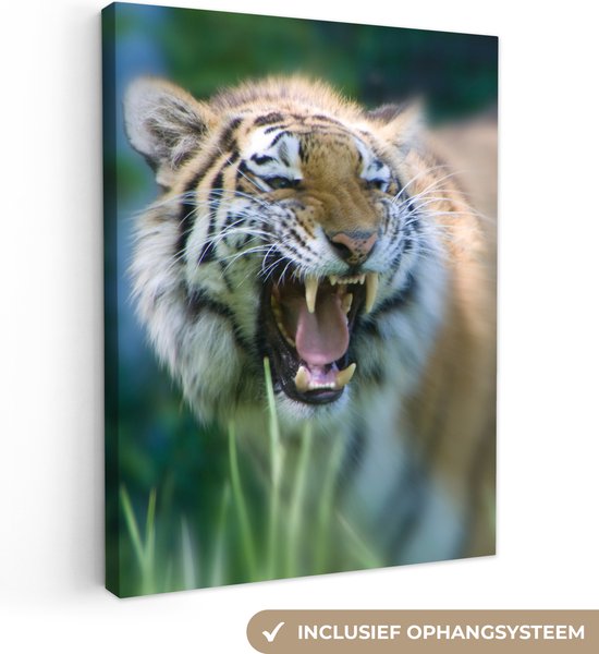 Toile de tigre féroce 60x80 cm - Tirage photo sur toile (Décoration murale salon / chambre) / Peintures sur toile animaux
