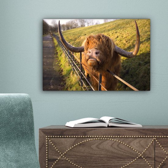 Peinture sur toile Highlander écossais - Clôture - Herbe - 30x20 cm - Décoration murale