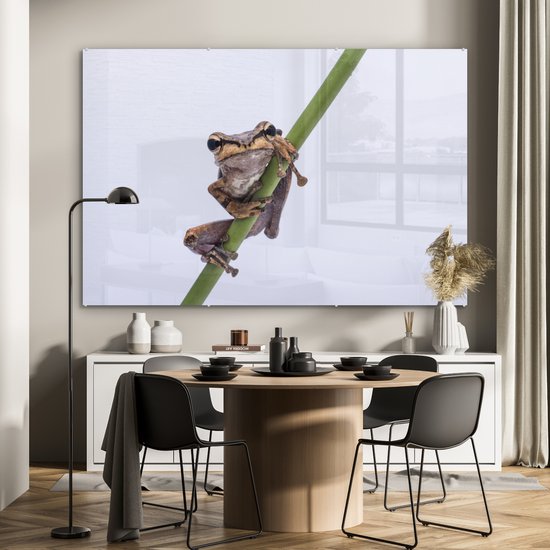 MuchoWow® Peinture sur verre 180x120 cm - Peinture sur verre acrylique - Grenouille - Branche - Grijs - Photo sur verre - Peintures