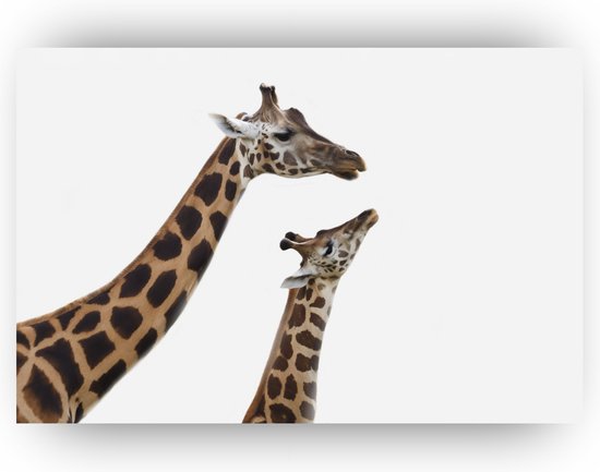 Giraffe schilderij - Giraffe wanddecoratie - Kinderkamer decoratie - Giraffe familie - Schilderijen dieren - Canvas giraffe - 90 x 60 cm 18mm