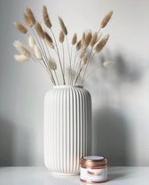 Ribbed Vase, White, 20 cm High, Modern Ceramic Flower Vases for Table Decoration, Indoor Decoration, Decorative Vases for Pampas Grass