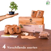 Floracon Bonsai Starters Kit – Kit de culture complet – 4 types de Graines de bonsaï – Kit de DIY Adultes – Bonsaï – Pot à bonsaï – Outils pour bonsaï – Set de culture pour Enfants et Adultes – Bonsaïs – Coffret cadeau
