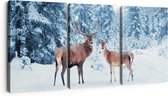 Artaza Canvas Schilderij Drieluik Twee Herten In Het Bos Met Sneeuw - 180x80 - Groot - Foto Op Canvas - Canvas Print