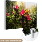 MuchoWow® Glasschilderij 90x60 cm - Schilderij acrylglas - Prachtige bloemen middenin de jungle - Foto op glas - Schilderijen