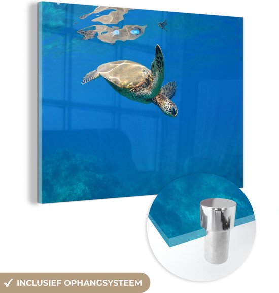 MuchoWow® Glasschilderij 160x120 cm - Schilderij acrylglas - Schildpad zwemmend in oceaan - Foto op glas - Schilderijen