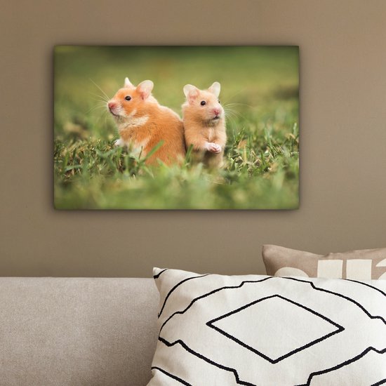 Tableau sur toile Hamsters dorés - 30x20 cm - Décoration murale