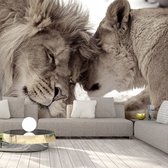 Fotobehangkoning - Behang - Vliesbehang - Fotobehang - Lion Tenderness (Sepia) - Knuffelende Leeuwen - 250 x 175 cm