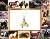 Hetty'S - 14 karaat gouden paardenhoofd + 14 karaat gouden gourmet collier van 45 cm
