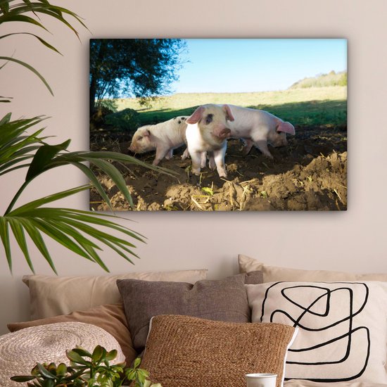 Toile Peinture Cochons - Animaux - Paysage - 60x40 cm - Décoration murale