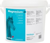 GlucoPlaza Magnesium - 3000 gram