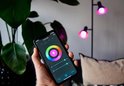 Hand met smartphone die de Calex app bedient, met een kleurenpalet om lampen in te stellen. Twee roze lampen op de achtergrond.