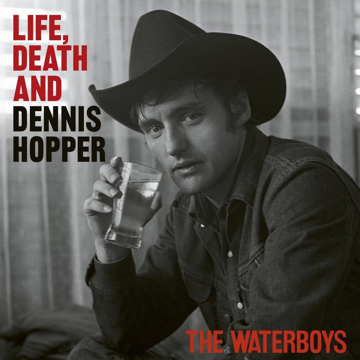 The Waterboys - Life Death & Dennis Hopper (CD)