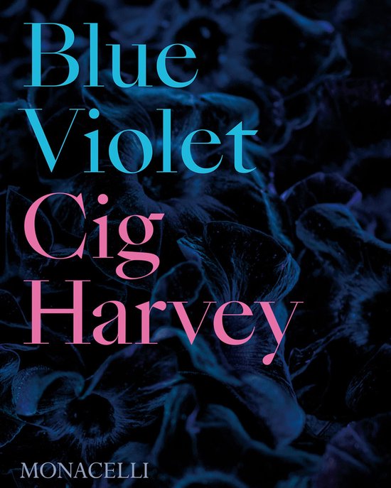 Livre "Blue Violet" avec le nom "Cig Harvey" en lettres roses et bleues sur fond de fleurs sombres.