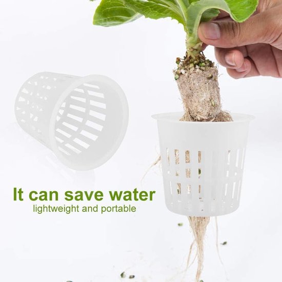 Hydro-cultuur : waarom en hoe werkt het? – De Plantelier