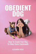 Obedient Dog How to Teach Your Dog To Obey Basic Commands