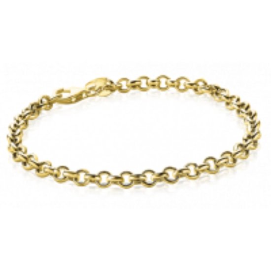 Gouden jasseron armband met schakels.