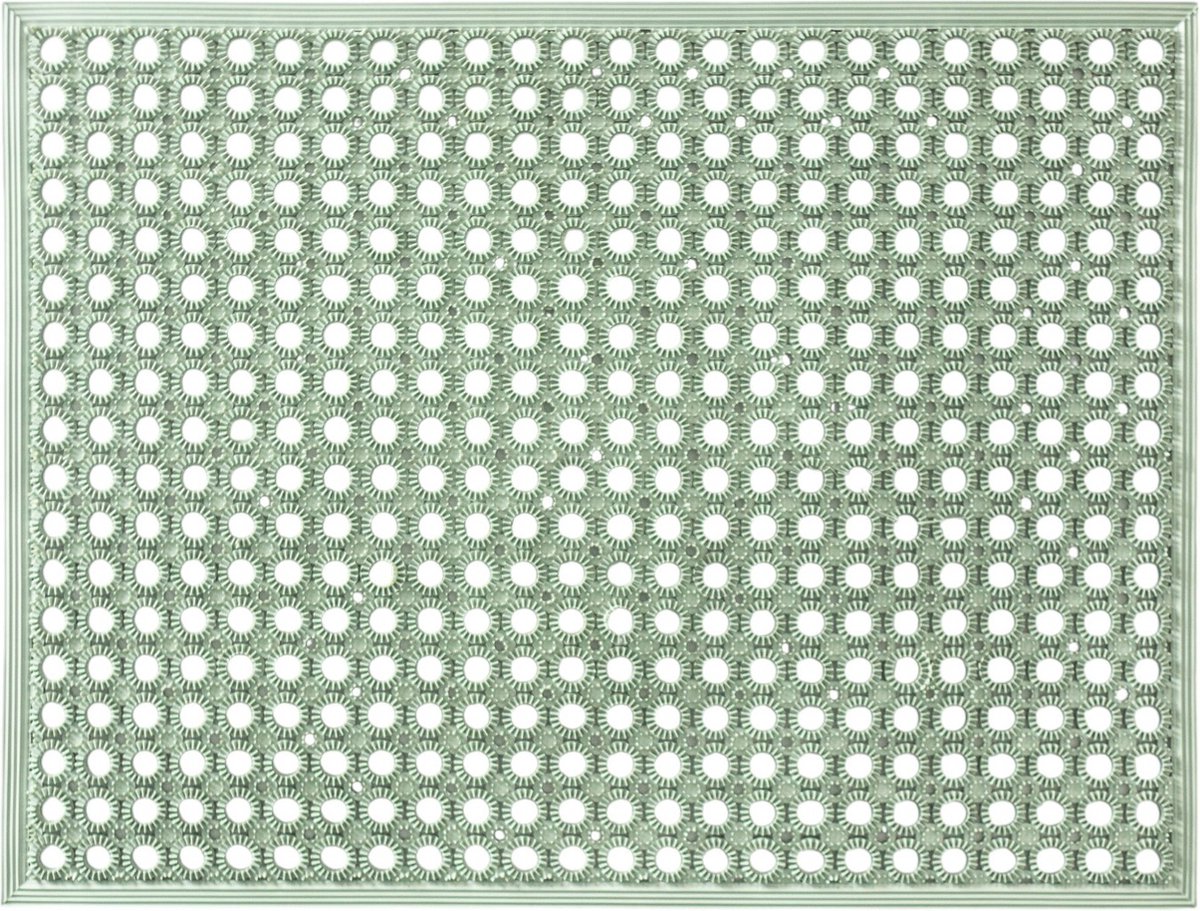 MD Entree - Deurmat - Outdoormat - Lizzy - Desert Sage - 48 x 62 cm