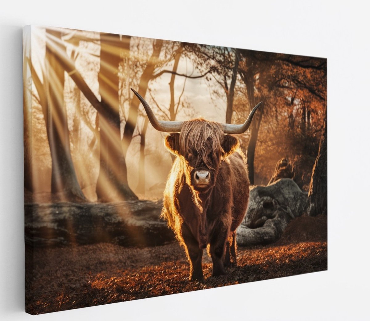 Saammp Canvas Schilderij - Schotse Hooglander Koe in een bos met zonsondergang - Dieren - Natuur - 150x100 - Foto op canvas - Wanddecoratie - muurdecoratie Woonkamer - Slaapkamer decoratie - Canvas Print Multicolor
