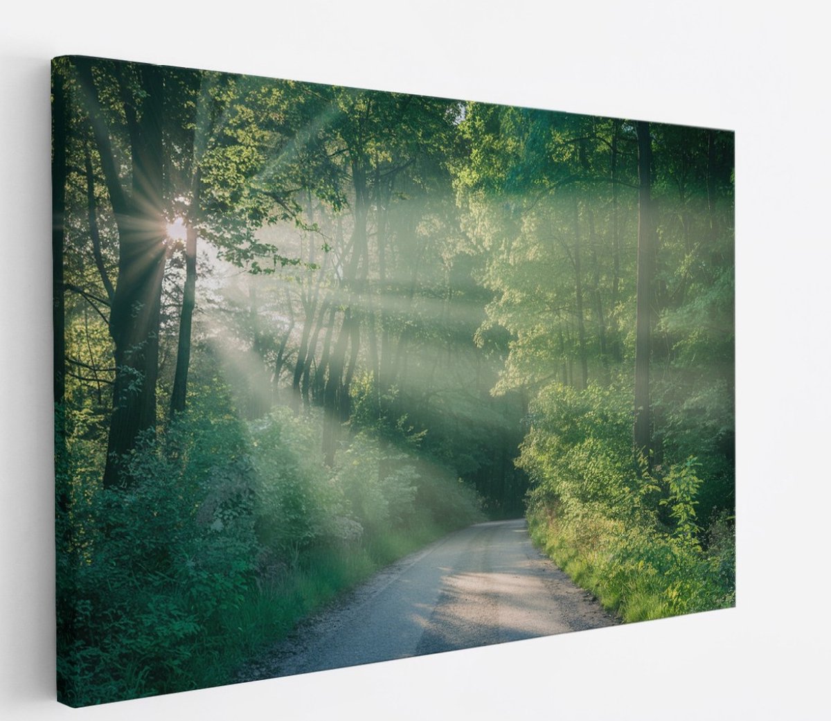 Saammp Canvas Schilderij - bos - Pad met zonsondergang - Landschap - Natuur - 50x40 - Foto op canvas - Wanddecoratie - Muurdecoratie Woonkamer - Slaapkamer decoratie - Canvas Print Multicolor