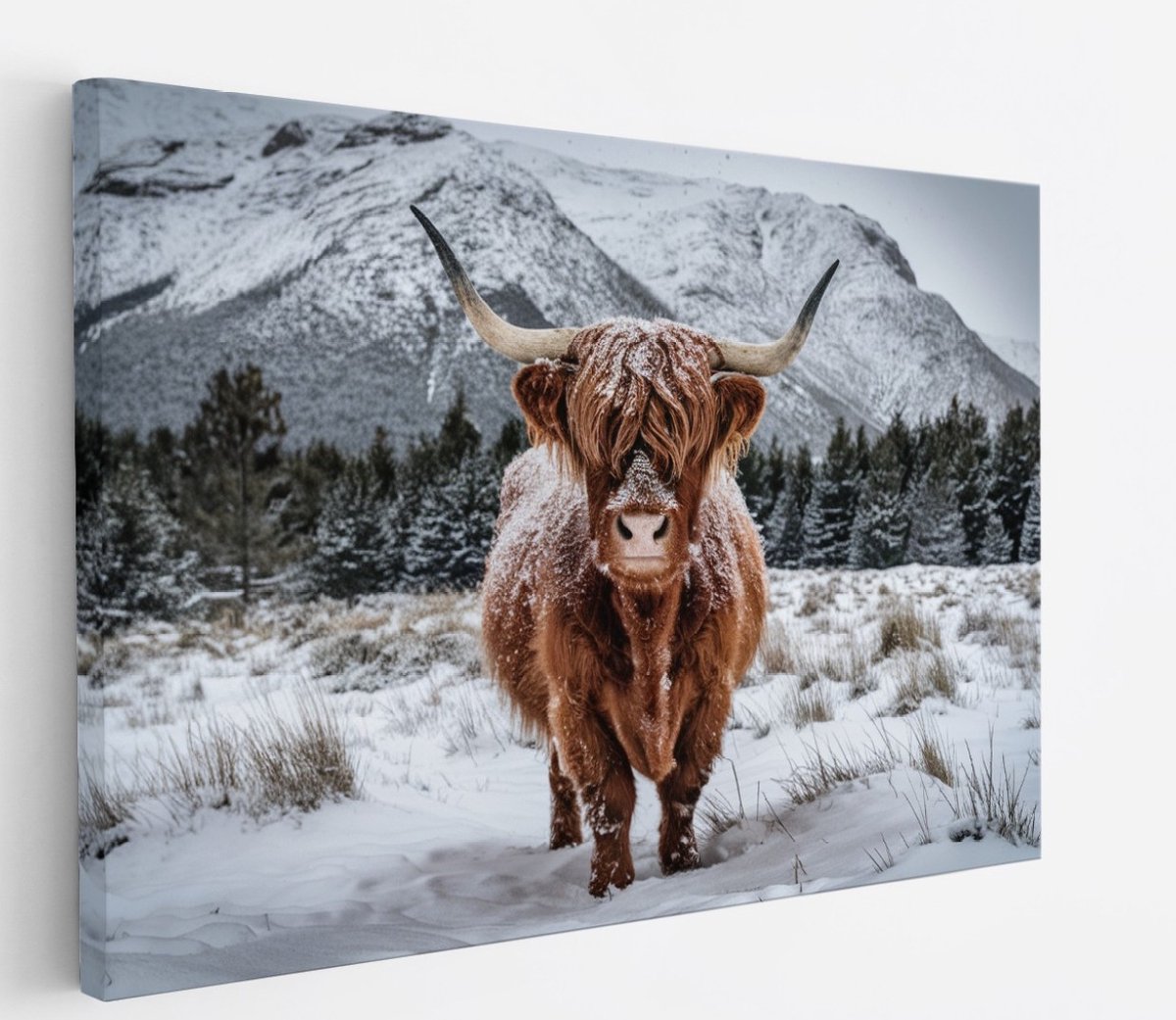 Saammp Canvas Schilderij Schotse Hooglander Koe in de wei - Dieren - Natuur - 150x100 - Foto op canvas - Wanddecoratie - muurdecoratie Woonkamer - Slaapkamer decoratie - Canvas Print Multicolor