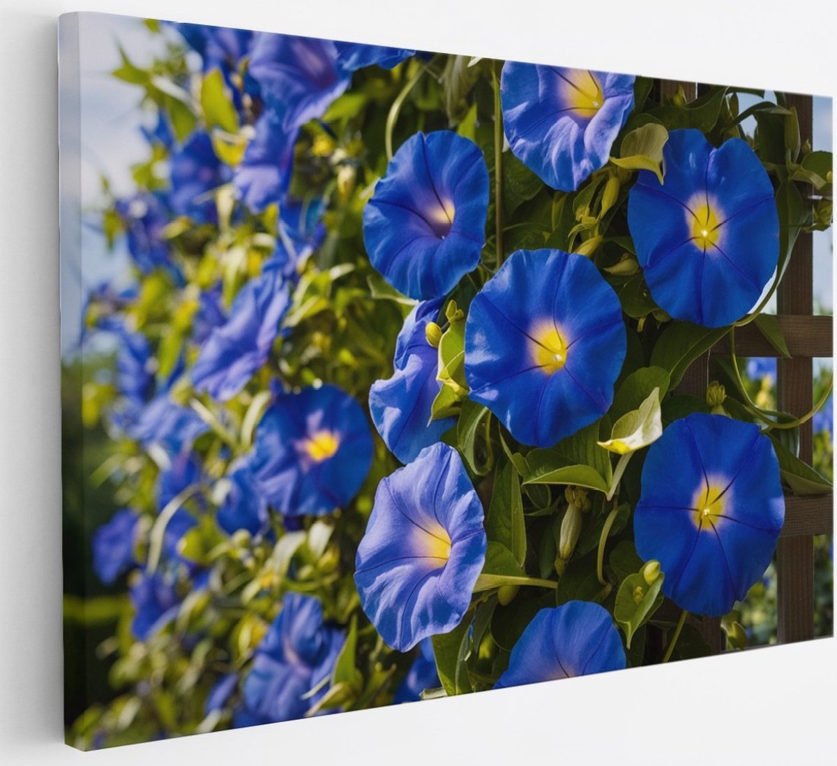 Saammp Canvas Schilderij - Blauwe Winde Bloemen - Natuur - Abstract - 30x20 - Foto op canvas - Wanddecoratie - Muurdecoratie Woonkamer - Kantoor Decoratie Multicolor