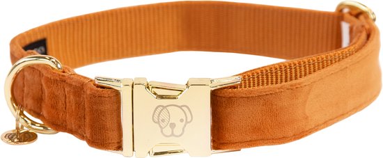 Kentucky Dogwear Hondenhalsband Velvet - Oranje M - 36-52cm